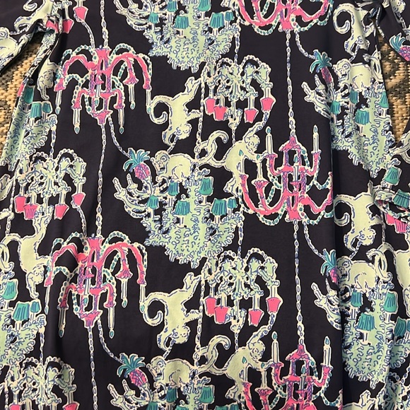New with Tags Lilly Pulitzer Ophelia Dress - Picture 7 of 15